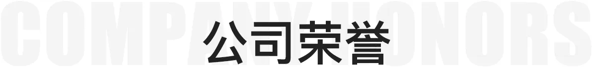 公司荣誉